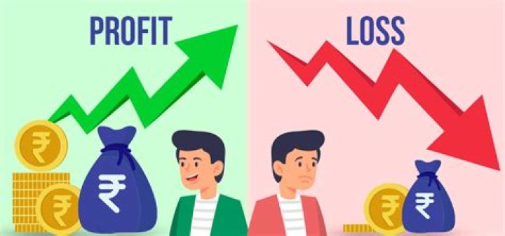 How do investors gain profit?