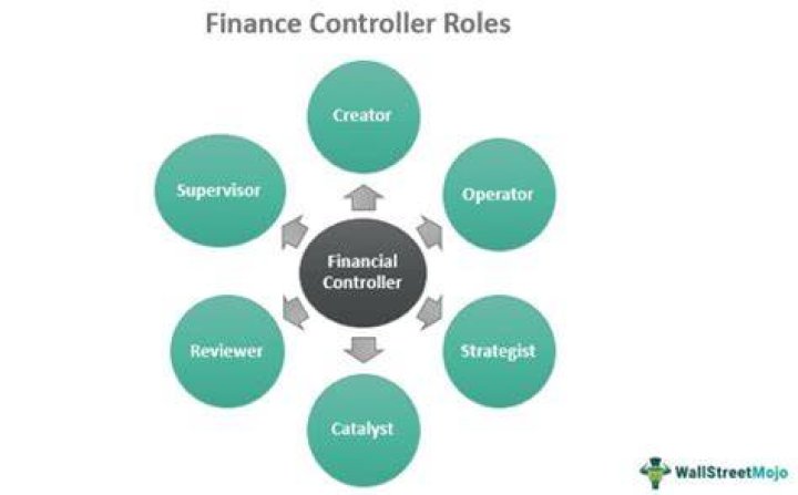 How important is a financial controller in an organization?