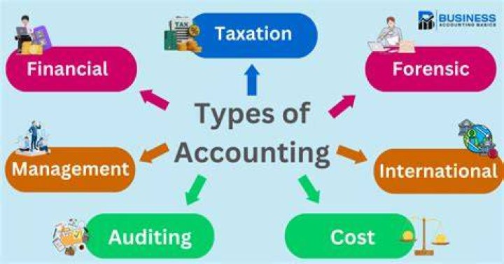 How many different type of accountants are there?