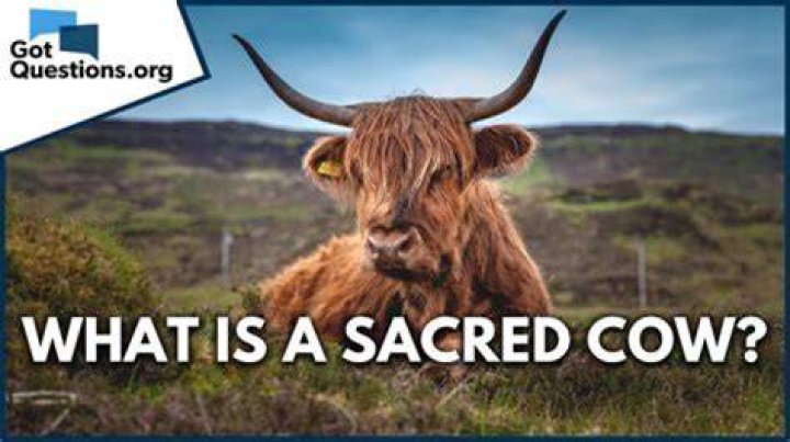 What does term sacred cow mean?