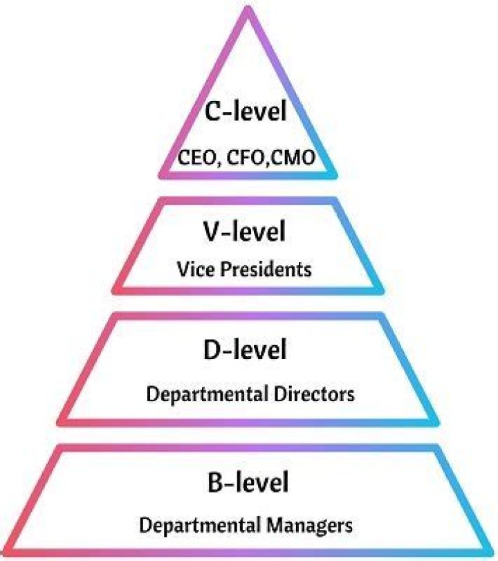 What is a C-level employee?