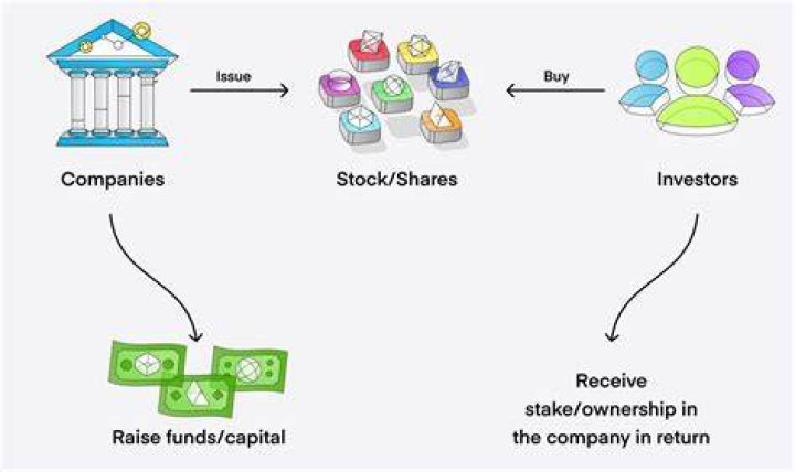 What is a company that sells stock to raise capital?