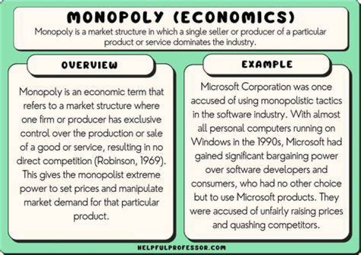What is a monopoly economics?