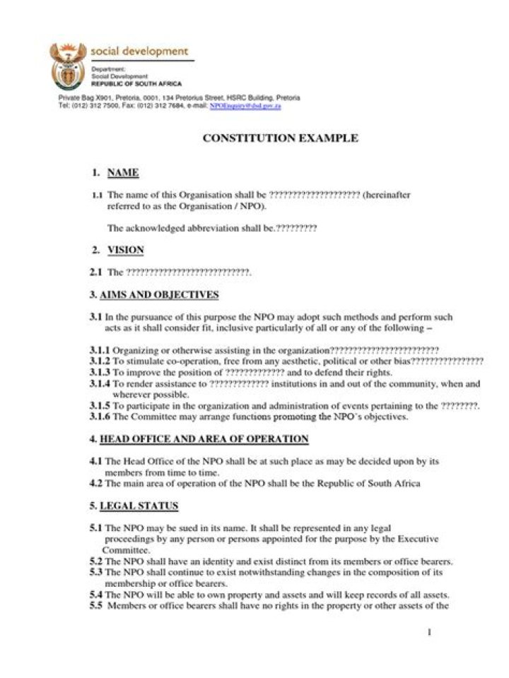 What is a NPO constitution?