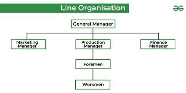 What is line Organisation in simple words?
