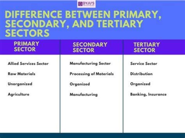 What is the difference between primary secondary and tertiary industry?
