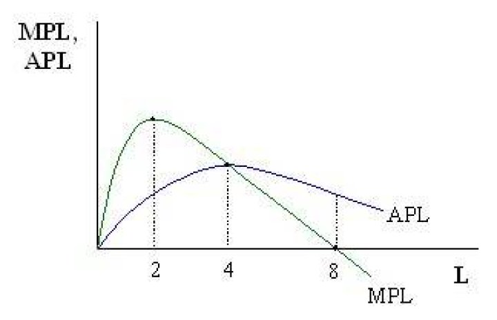 What is the relation between APL and MPL?