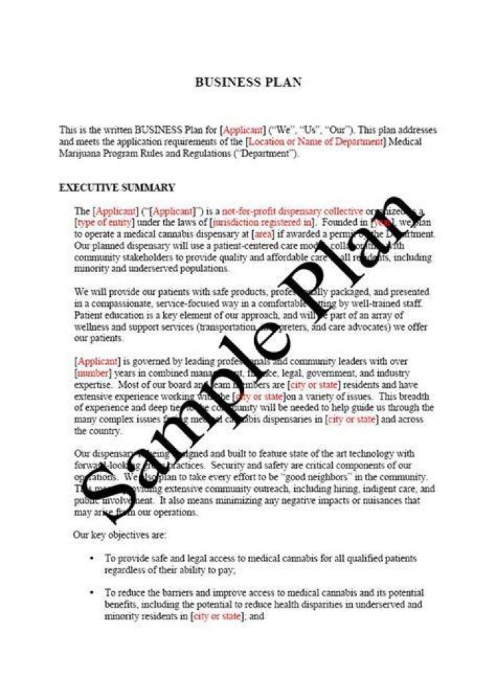 Who should a business plan be written for?