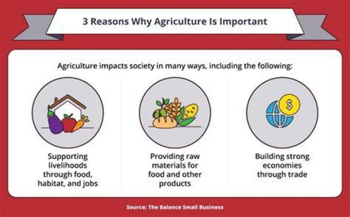 Why does agriculture contribute to less wage employment?